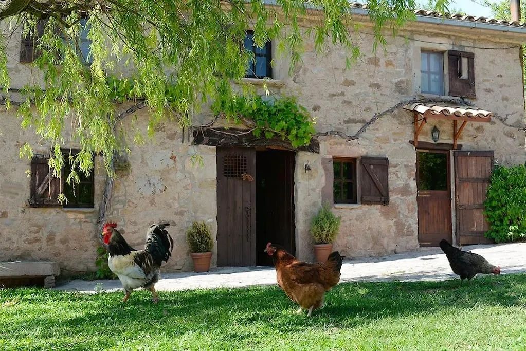 Can Riera Hostal Santa Eulàlia de Riuprimer España